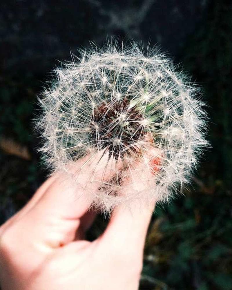 Kofiya Classic view 3