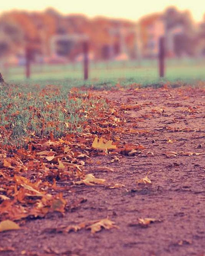 Tribal Beanie view 2